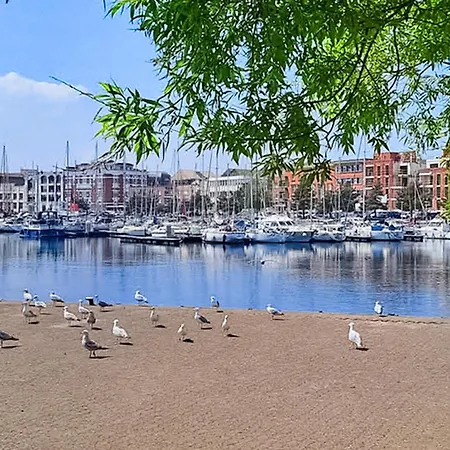 Stunning In With Wifi *